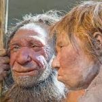 The Modern humans replace the Neanderthal.